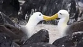 Atractivos turisticos de Galapagos