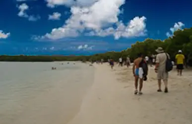 Tourism Ecuador, Travel agency